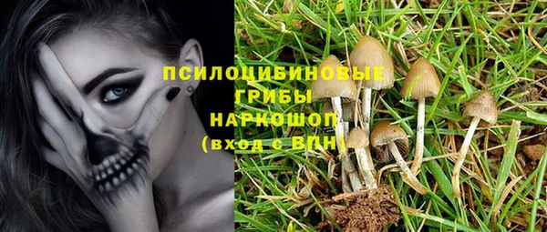 PSILOCYBIN Бугульма