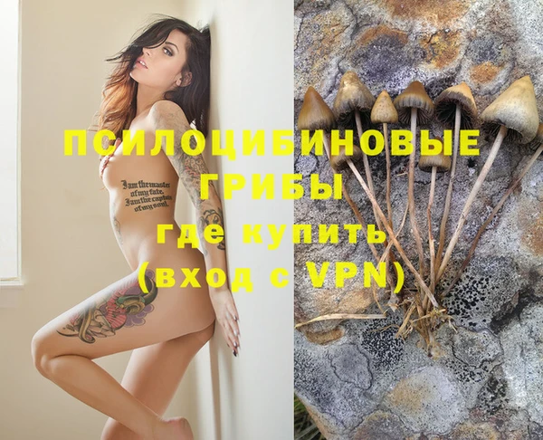 прущий лед Бронницы