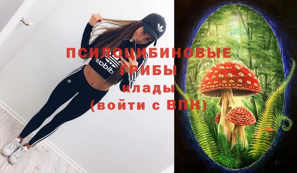 эйфоретик Белокуриха