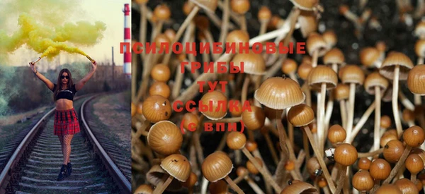 мяу мяу кристалл Бородино